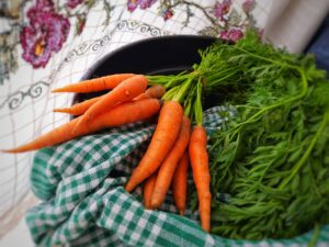 Carrots Vegetables Harvest Fresh - hobim / Pixabay